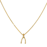 Gold Lucky Wishbone Necklace